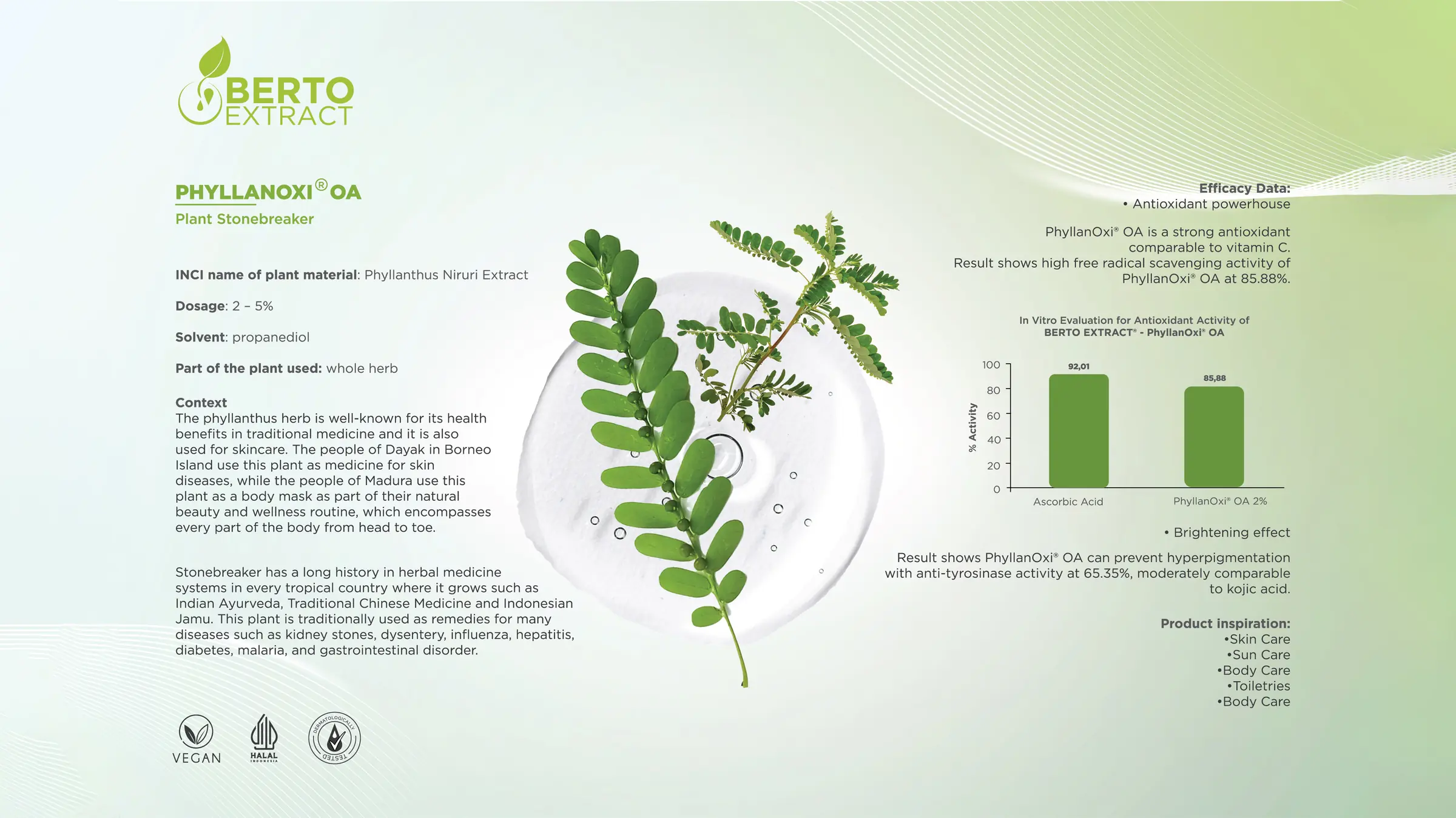 PhyllanOxi OA — Berto Extract: stonebreaker (Phyllanthus Niruri Extract), dosage 2–5%, antioxidant and brightening efficacy data
